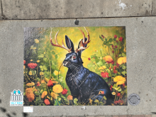Art on top of a storm drain that depicts a jackalope sitting in a patch of flowers
